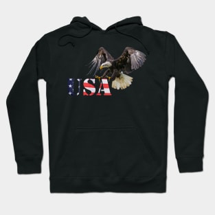 Eagle and Flag Hoodie